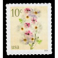 #5901 Poppies & Coneflowers - Sheet Stamp