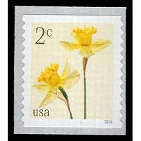 #5903 2¢ Daffodils, Coil
