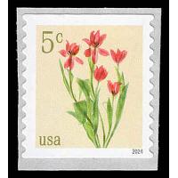 #5905 5¢ Red Tulips, Coil