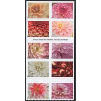 #6001a Dahlias, Booklet Block of Ten