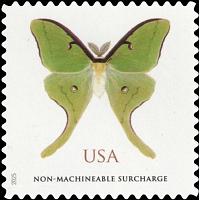 #6031 Luna Moth, Surcharge