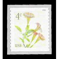 #6045 Angel Trumpets, Coil