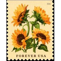 #6067 Sunflower, Booklet Single