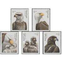 #6082-86 Bald Eagle, Set of Five Singles