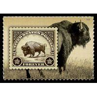 #6102 American Bison, Boston 2026 World Stamp Show
