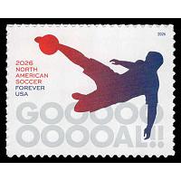 #6108 North American Soccer