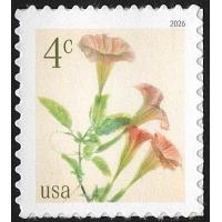 #6045 Angel's Trumpets