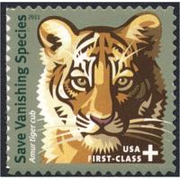#B4  Save Vanishing Species, Amur Tiger Cub