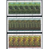 #522-523, 165-166, 80-81 Survival of the Forests