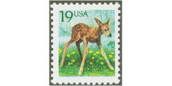 #2479 Fawn