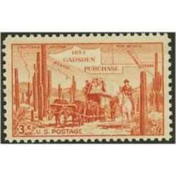 #1028 Gadsden Purchase Centennial