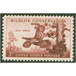 #1077 Wildlife - Wild Turkey