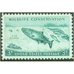 #1079 Wildlife - King Salmon