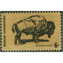 #1392 Buffalo