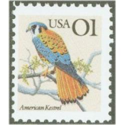 #2476 Kestrel, No ¢ Sign