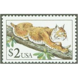 #2482 Bobcat