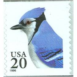 #3053 Blue Jay, Coil