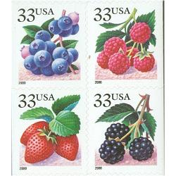 #3297e Fruit Berries, Block of Four, 11¼x11½ 2000 Year Date