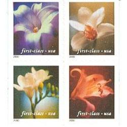#3458-61 Four Flowers, Set of Four Singles, 11½x11¾ (from #3461b