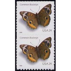 #4001vt Common Buckeye, Pair - Taller Variety with Normal Stamp