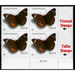 #4001vt Common Buckeye, Taller Variety Plate Block of Four