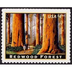 #4378 California Redwood Forest, Priority Mail