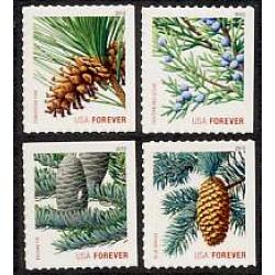 #4482-85 Holiday Evergreens (Forever Stamp) ATM Set of Four Singles