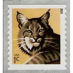 #4672a Bobcat, Coil (2015)