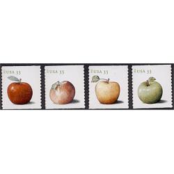 #4731-34 Apples, Set of Four Coil Singles