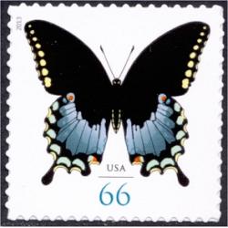 #4736 Spicebush Swallowtail Butterfly