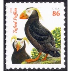 #4737 Tufted Puffins, Orange Year Date