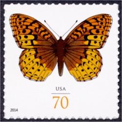 #4859 Great Spangled Fritillary Butterfly