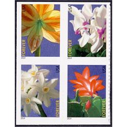 #4865a Winter Flowers, Block of Four