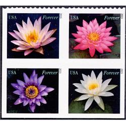#4967a Water Lilies, Block of Four