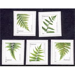 #4973-77 Ferns Forever 2015 Reprint, Dated 2014, Set of Five Singles