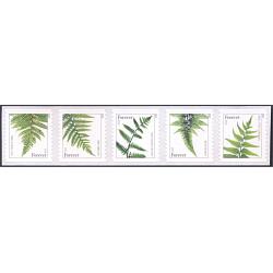 #4977c Ferns Forever 2015, Coil Strip of Five, From 3K Roll