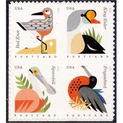 #4994a Coastal Birds, Block of Four