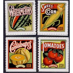 #5004-07 Summer Harvest, Set of Four Booklet Singles