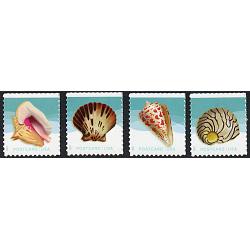 #5163-66 Seashells, Set of Four Singles