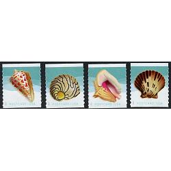 #5167-70 Seashells, Set of Four Coil Singles