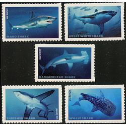 #5223-27 Sharks, Set of Five Singles