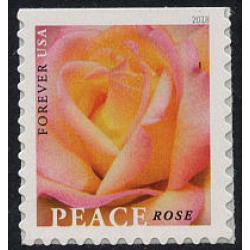 #5280 Peace Rose, Booklet Single
