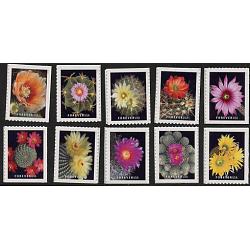 #5350-59 Cactus Flowers, Set of Ten Singles