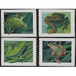 #5395-98 Frogs, Set of Four Singles