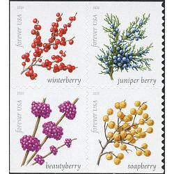 #5418a Winter Berries, Block of Four