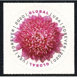 #5460 Chrysanthemum, Global Rate