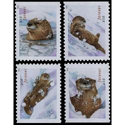 #5648-51 Otters in Snow, Set of Four Singles