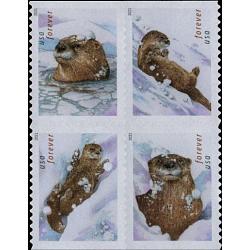 #5651a Otters in Snow, Block of Four