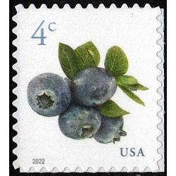 #5652 Blueberries, Sheet Stamp