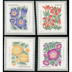 #5672-75 Mountain Flora,  Set of Four Coil Singles